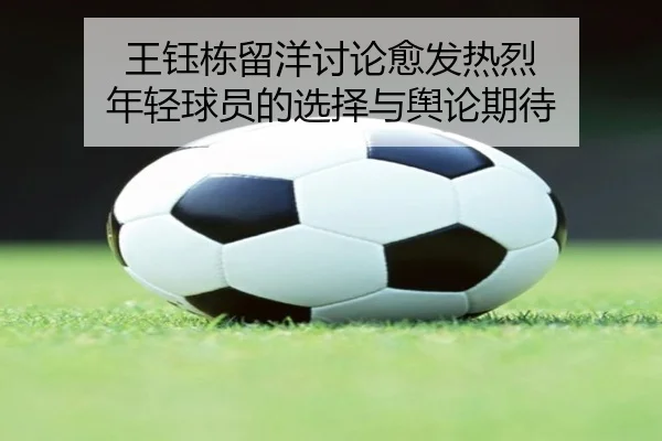 wang-yu-dong-liu-yang-tao-lun-yu-fa-re-lie-nian-qing-qiu-yuan-de-xuan-ze-yu-yu-lun-qi-dai-2-674.jpg